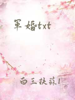 军婚txt