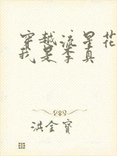 穿越流星花园之我是李真