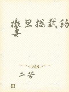 撒旦总裁的下堂妻