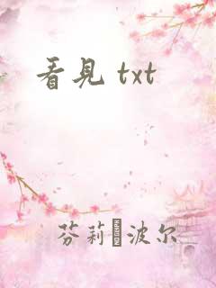 看见 txt