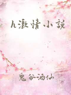 h激情小说