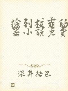 捡到校霸的遥控器小说免费阅读无弹窗