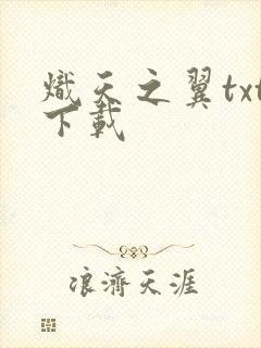炽天之翼txt下载