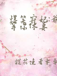 爆笑宠妃:爷我等你休妻