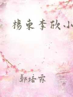 杨东李欣小说
