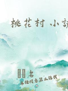 桃花村 小说