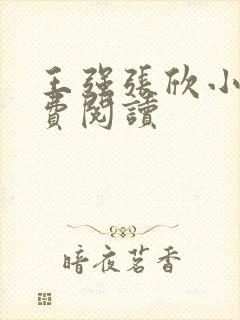 王强张欣小说免费阅读