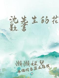 沈先生的花式调数书