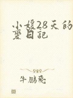 小媛28天的剧变日记