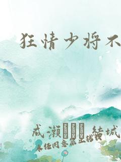 狂情少将不良妻