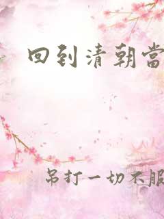 回到清朝当总统