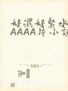 好湿好紧水多AAAAA片小说