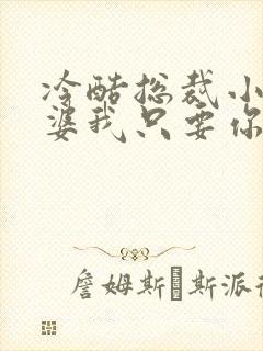 冷酷总裁小小老婆我只要你