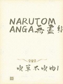 NARUTOMANGA无尽纲手