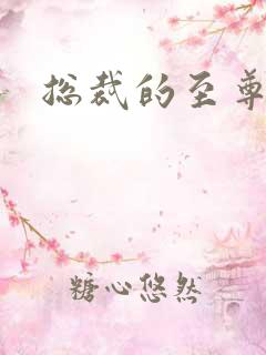 总裁的至尊前妻