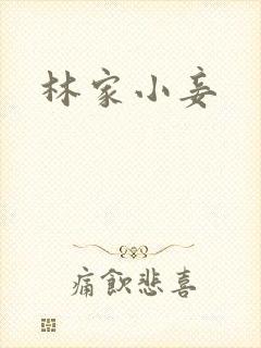 林家小妾