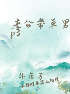 老公带单男回来p3