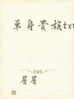单身贵族txt