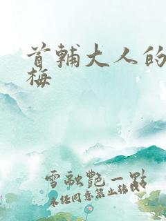 首辅大人的小青梅