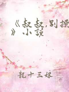 《叔叔,别撩我》小说