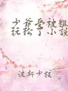 少爷受被粗汉H玩松了小说