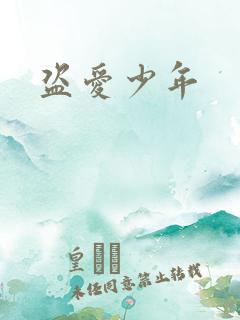 盗爱少年