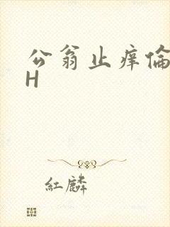 公翁止痒伦理DH