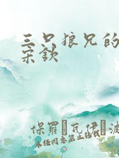 三只狼兄的宠妻宋钦