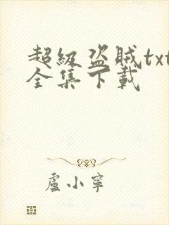 超级盗贼txt全集下载
