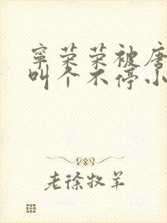 宁荣荣被唐三桶叫个不停小说