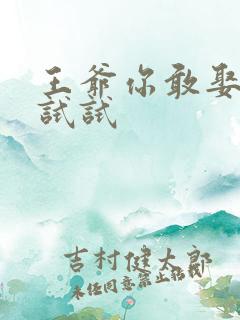 王爷你敢娶小三试试