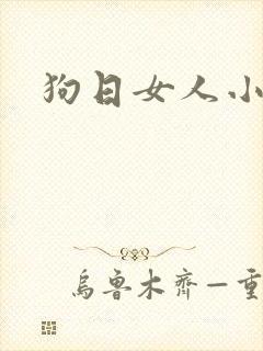 狗日女人小说