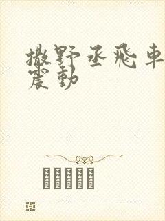 撒野丞飞车道具震动