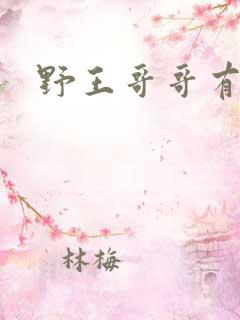野王哥哥有点甜