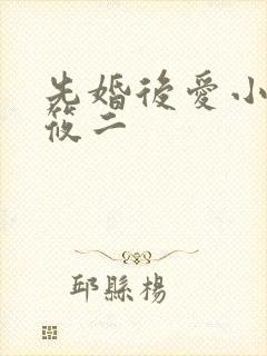 先婚后爱小说梦筱二