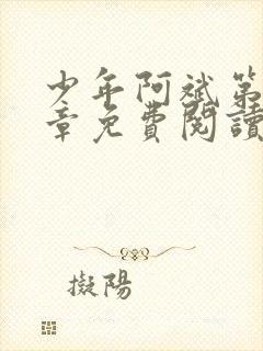 少年阿斌第13章免费阅读