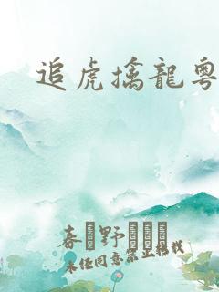 追虎擒龙粤语版