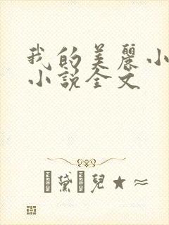 我的美丽小后妈小说全文