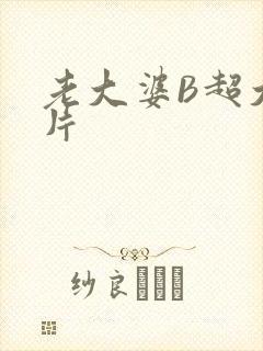 老大婆B超大图片