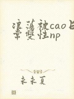 浪荡被cao日常双性np