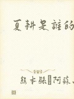 夏耕是谁的女婿