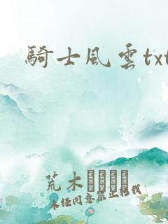 骑士风云txt