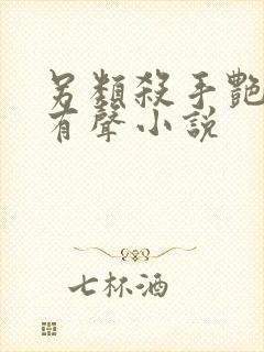 另类杀手艳福星有声小说