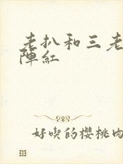 老扒和三老扒和阵红