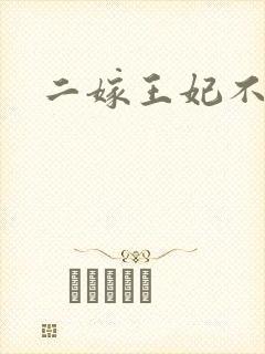 二嫁王妃不好惹