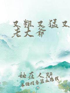 又粗又猛又大爽老大爷