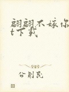 翩翩不嫁你txt下载