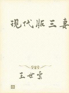 现代版三妻四妾
