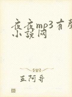 夜夜mp3有声小说网