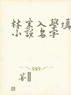 林寒入学填未婚小说名字
